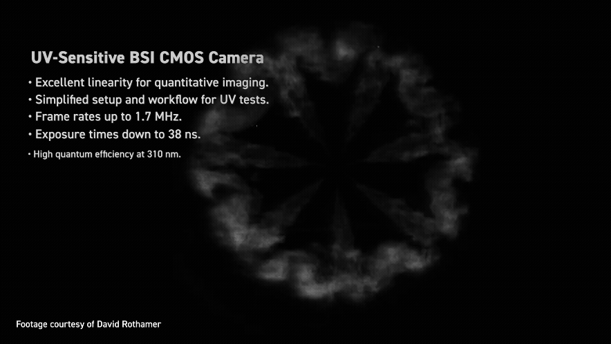Adobe_Express_-_SSYouTube.online__1080p_(2).gif
