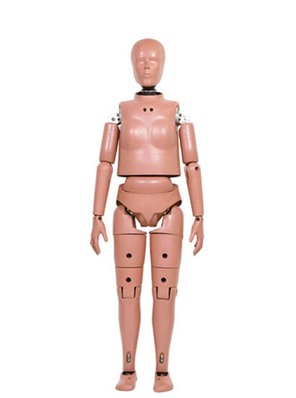 JASTI Pedestrian Hybrid-III 5th Female - 보행자 충돌 시험용 직립형 더미