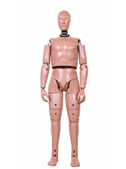 JASTI Pedestrian Hybrid-III 50th Male - 보행자 충돌 시험용 직립형 더미
