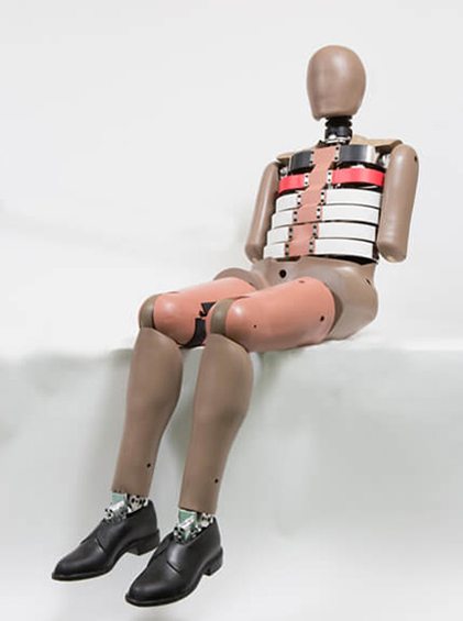 JASTI WorldSID 50th Percentile Male Side Impact Dummy (W50-00000) - 측면 충돌 시험용 더미