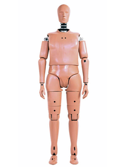 JASTI Pedestrian Hybrid-III 95th Large Male - 보행자 충돌 시험용 직립형 더미